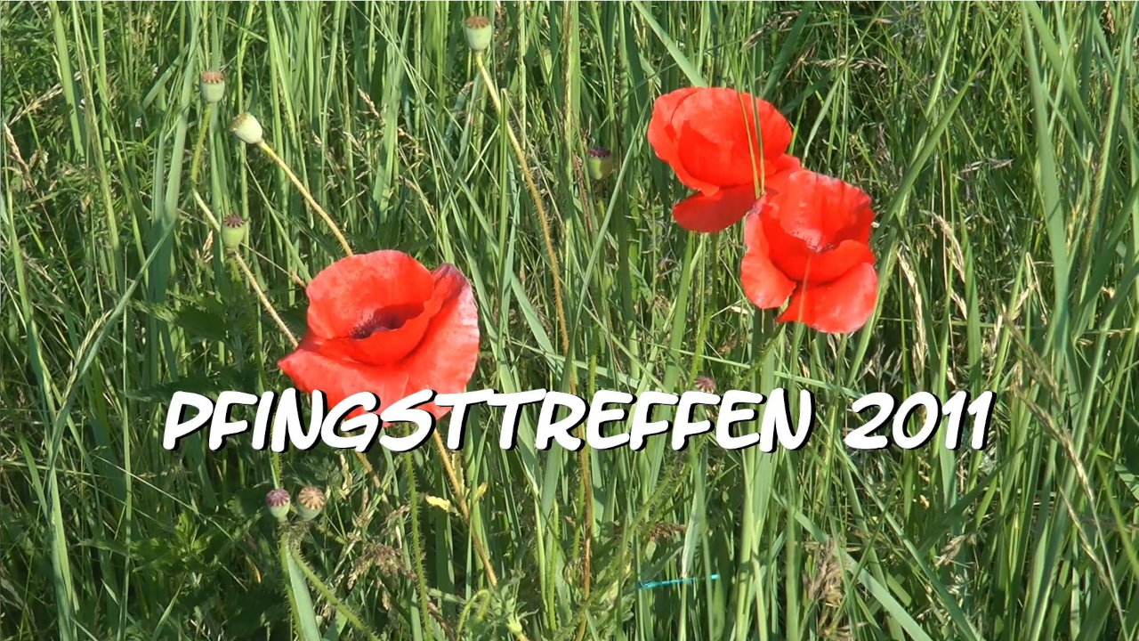 Pfingsttreffen 2011
